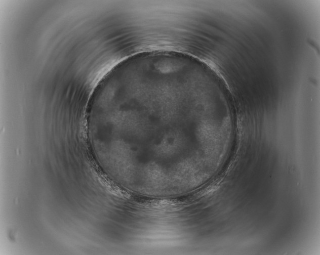 X0000102230879200808221306