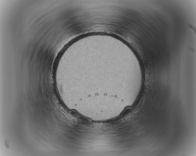 X0000102230880200808221306