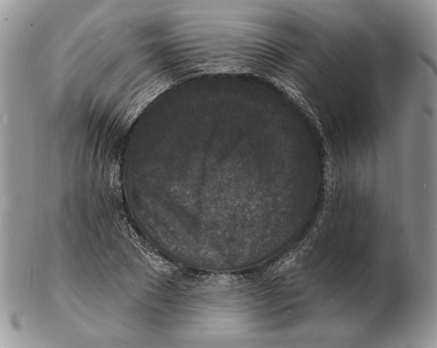 X0000102230881200808221306