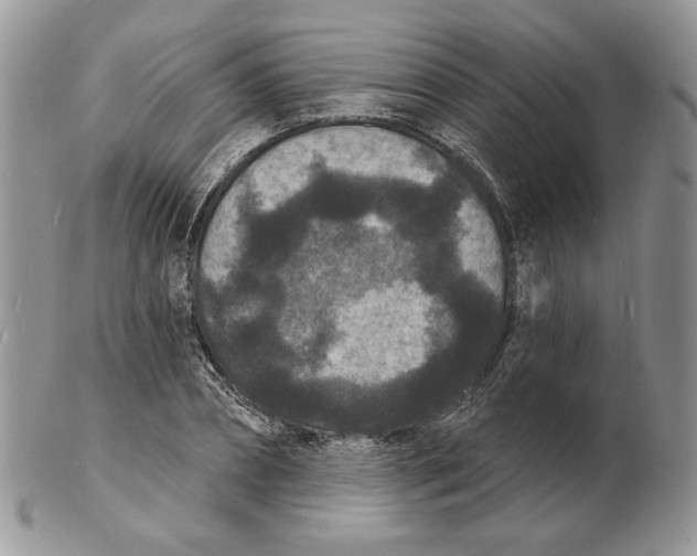 X0000102230882200808221306