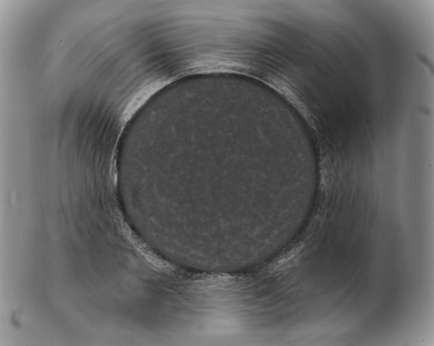 X0000102230885200808221305