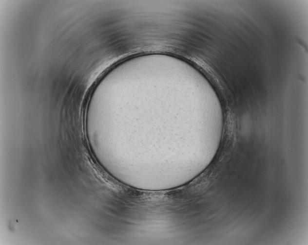 X0000102230886200808221305