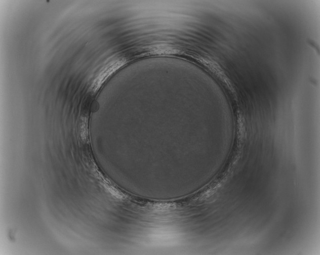 X0000102230889200808221305