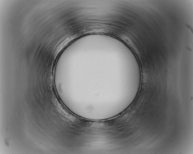 X0000102230890200808221305