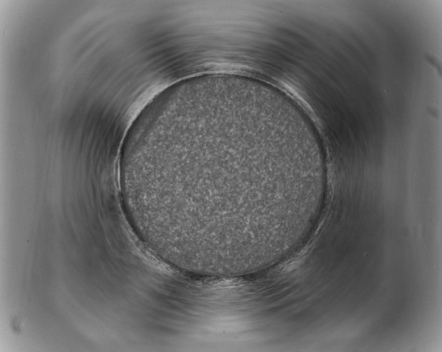 X0000102230891200808221305