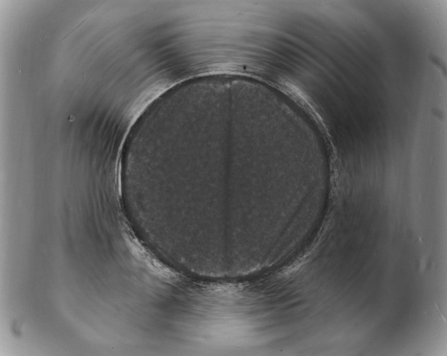X0000102230892200808221305