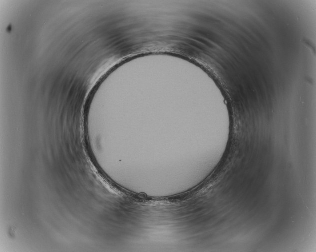 X0000102230894200808221305