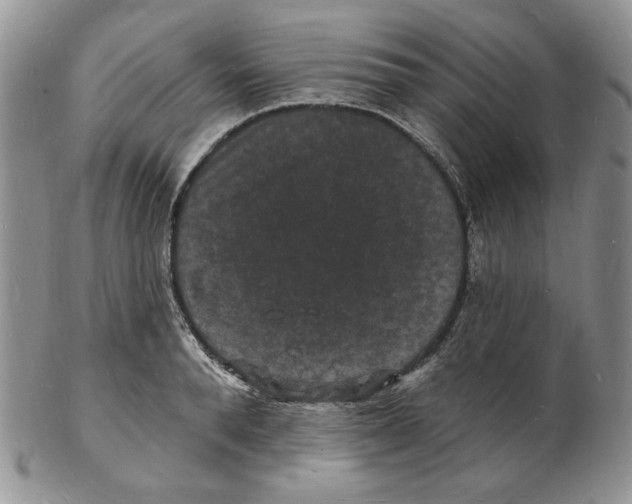 X0000102230896200808221305