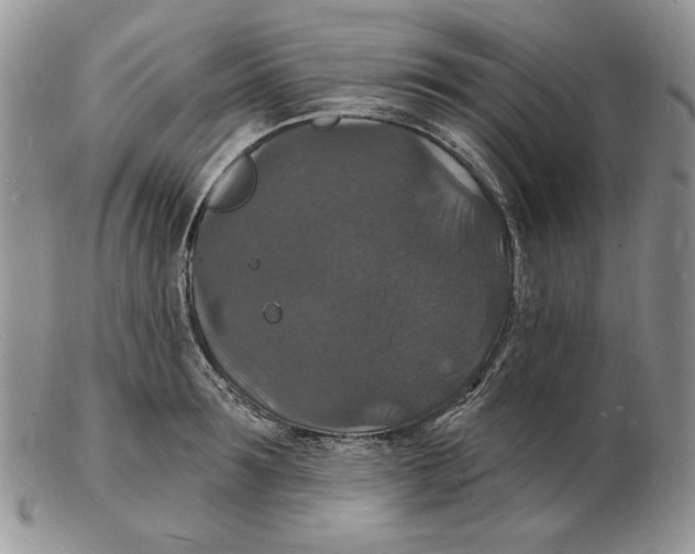 X0000102230899200808221305