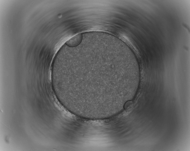 X0000102230900200808221305