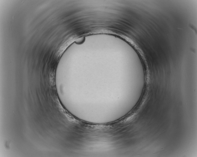 X0000102230905200808221305