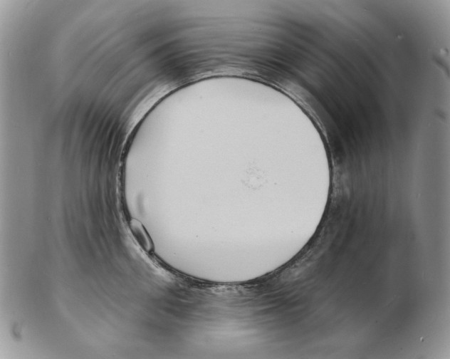X0000102230906200808221305