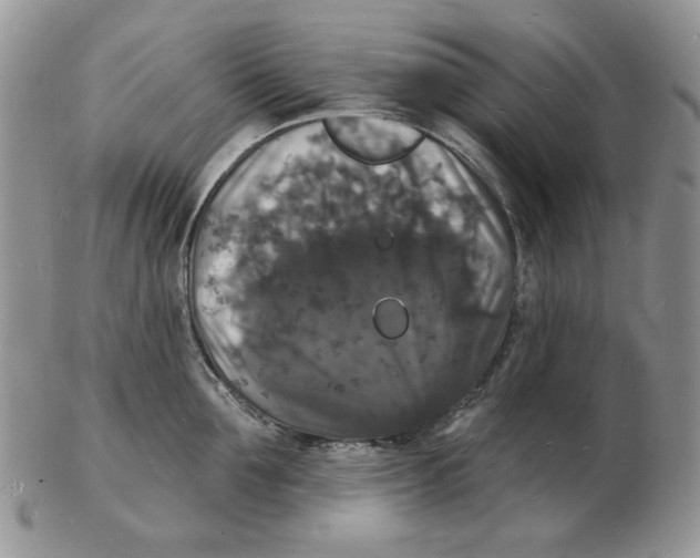 X0000102230907200808221305