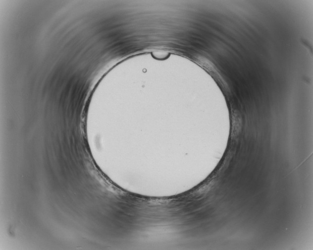 X0000102230908200808221305