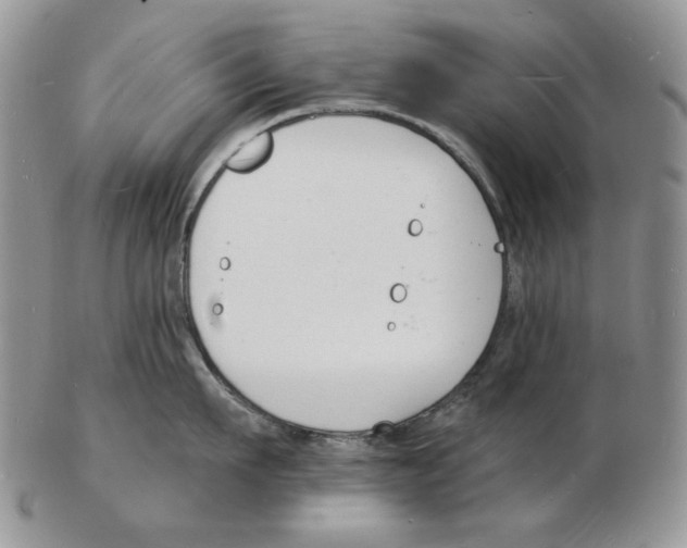 X0000102230911200808221305