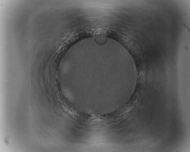 X0000102230913200808221304