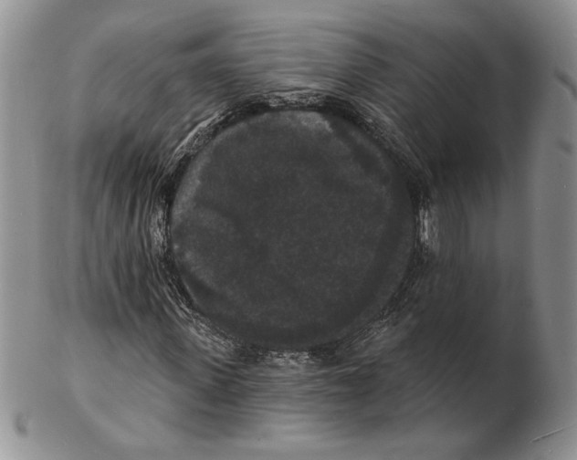 X0000102230915200808221304