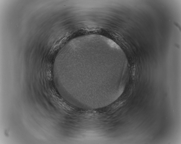 X0000102230916200808221304