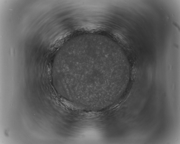 X0000102230917200808221304