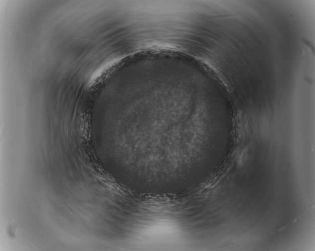 X0000102230919200808221304