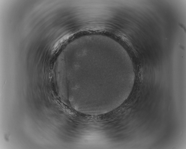 X0000102230920200808221304