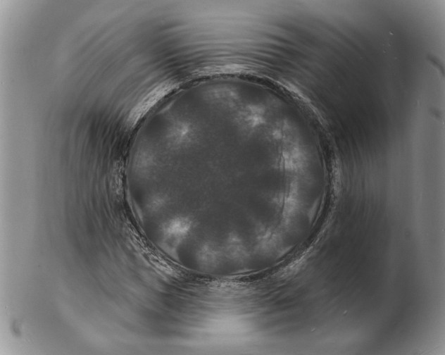 X0000102230921200808221304