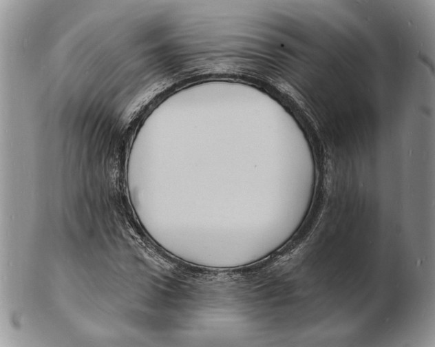 X0000102230922200808221304