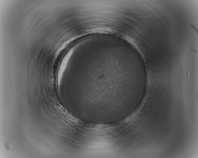 X0000102230923200808221304