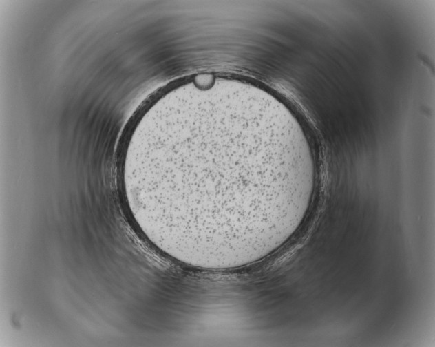 X0000102230924200808221304