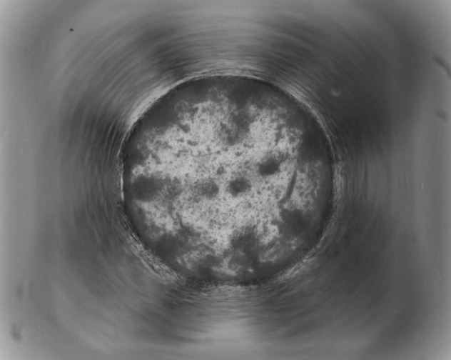 X0000102230925200808221304