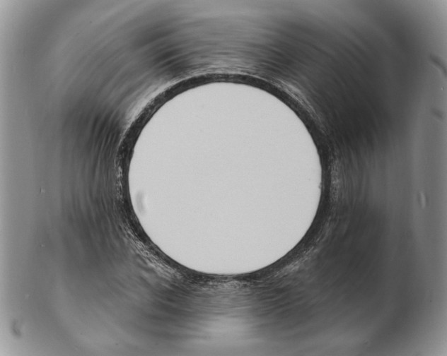 X0000102230926200808221304