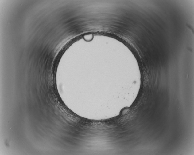 X0000102230927200808221304