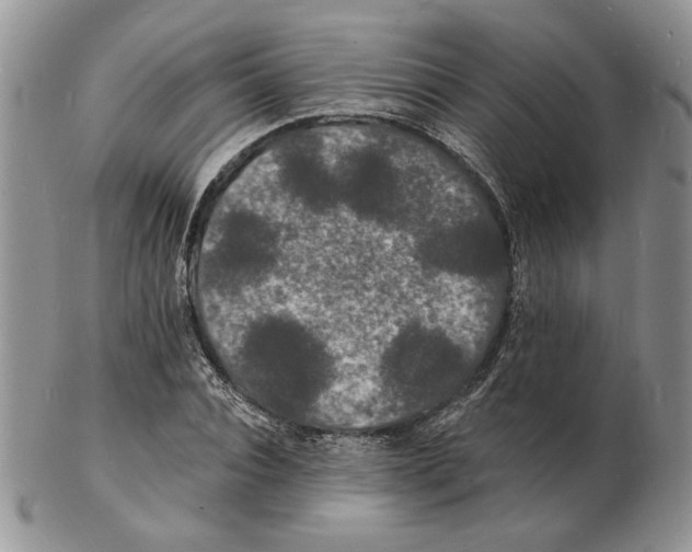 X0000102230928200808221304
