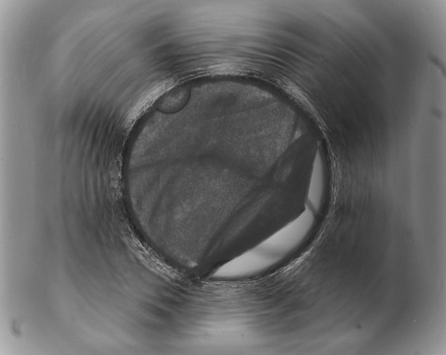 X0000102230930200808221304