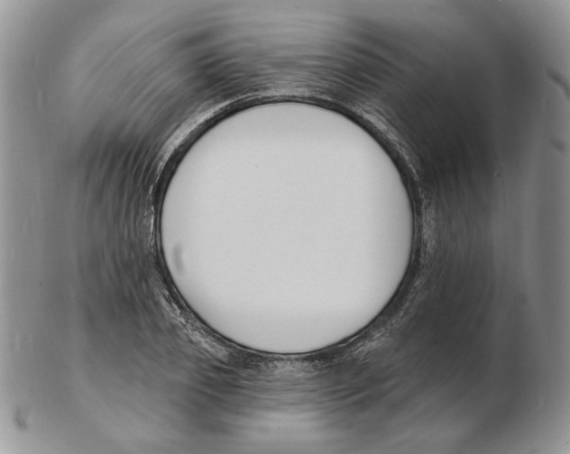 X0000102230933200808221305