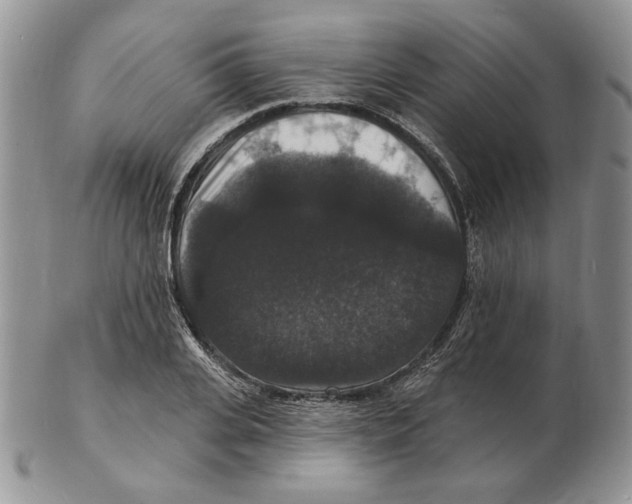 X0000102230935200808221305