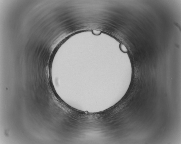 X0000102230936200808221305