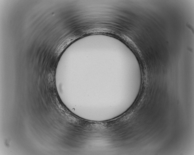 X0000102230937200808221305