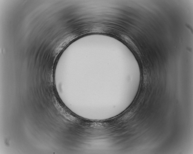 X0000102230938200808221305