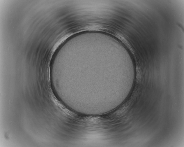 X0000102230939200808221305