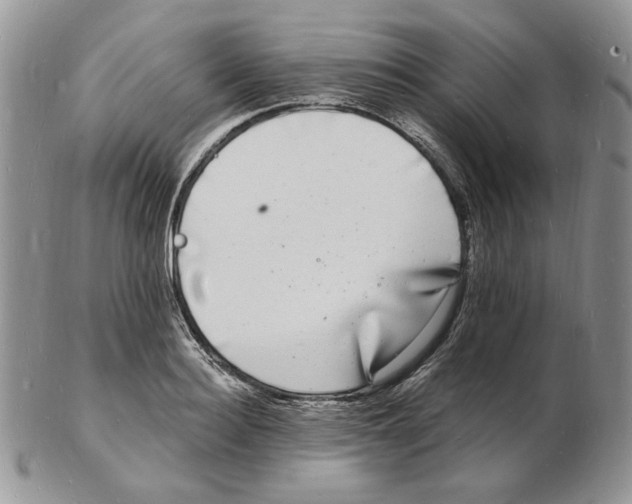 X0000102230940200808221305