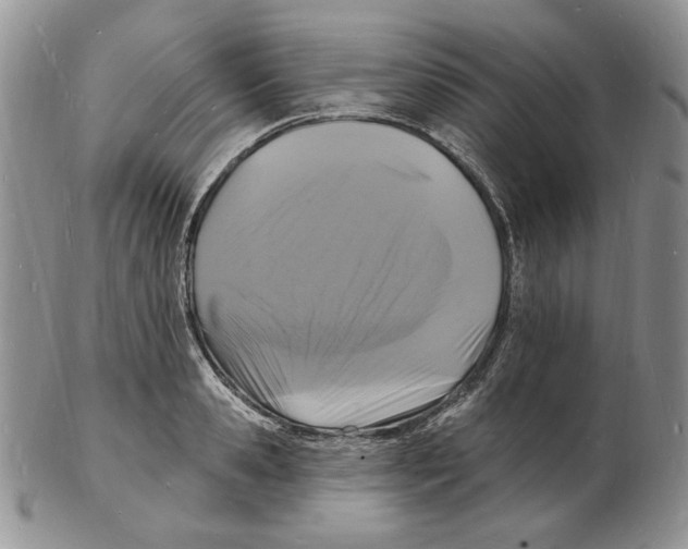 X0000102230941200808221305