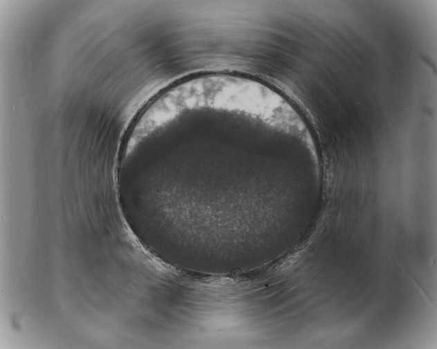 X0000102230943200808221305