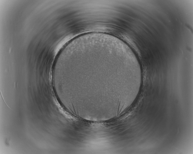 X0000102230944200808221305