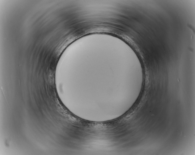 X0000102230945200808221305