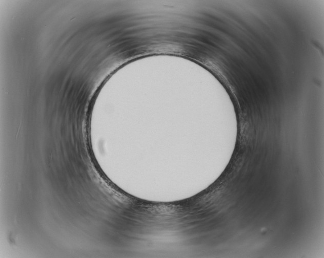 X0000102230947200808221305