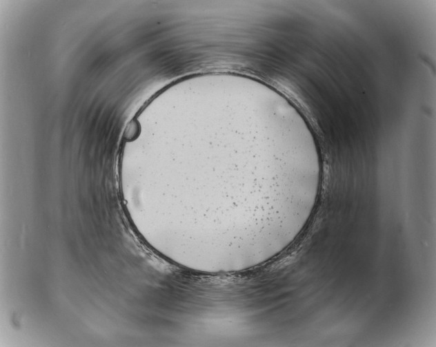 X0000102230948200808221305