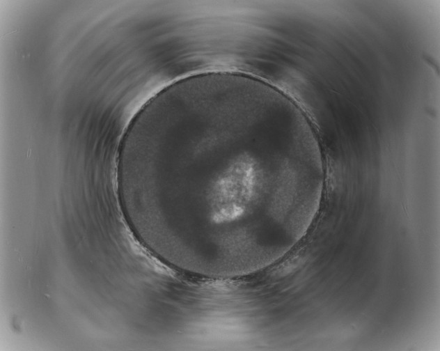 X0000102230950200808221305