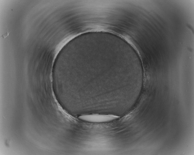 X0000102230951200808221305