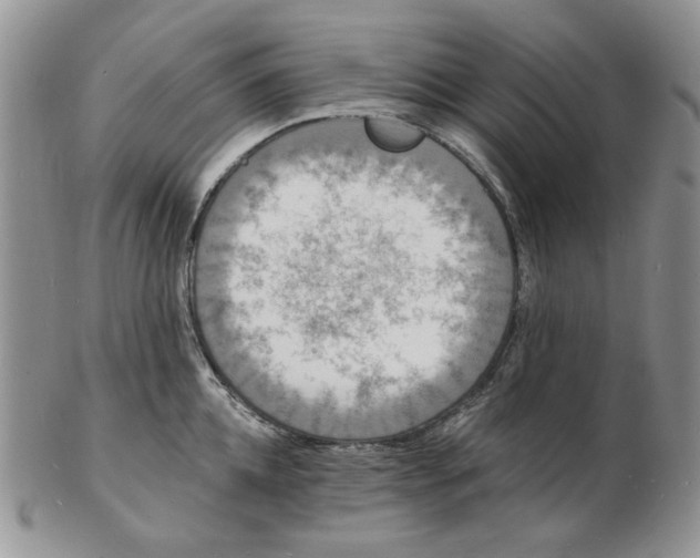 X0000102230952200808221305